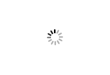 Category Products Loading