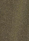 Jerry Gold Lurex Jumpsuit