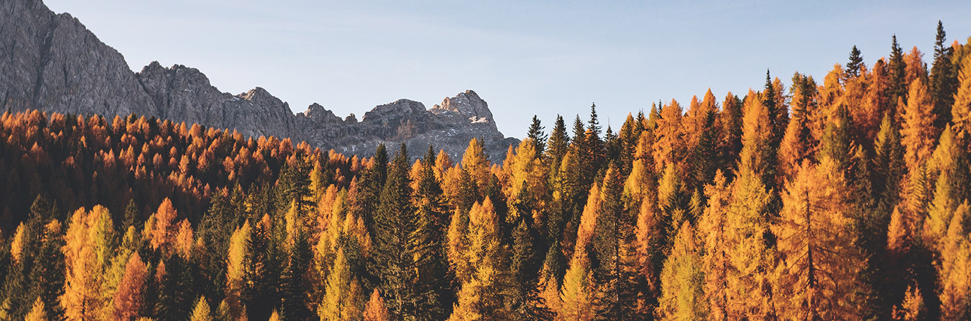Autumn Sustainability Update