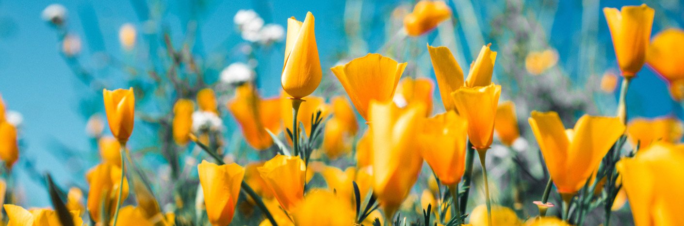 Spring Sustainability Update: The Story So Far and Our Plans for the Future